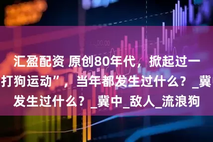 汇盈配资 原创80年代，掀起过一场轰轰烈烈的“打狗运动”，当年都发生过什么？_冀中_敌人_流浪狗