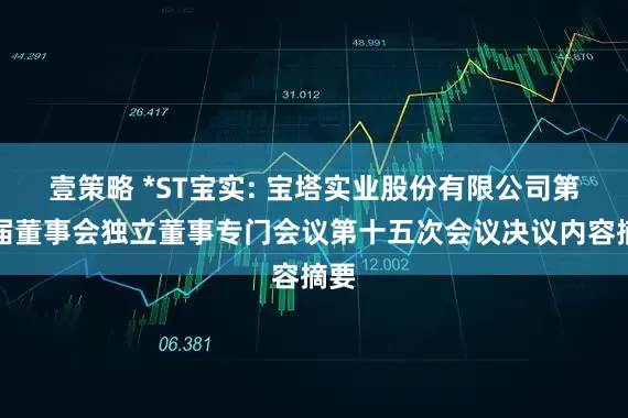 壹策略 *ST宝实: 宝塔实业股份有限公司第十届董事会独立董事专门会议第十五次会议决议内容摘要
